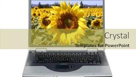  Presentation with today - Audience pleasing presentation theme consisting of sunflower-field-sunflower-field backdrop and a yellow colored foreground