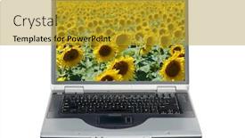  Presentation with today - Presentation featuring sunflower-field-sunflower-field background and a gold colored foreground
