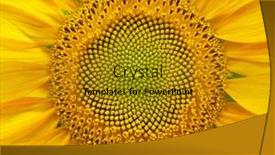  Presentation with nature design - Beautiful PPT theme featuring sunflower-patten-background-texture-element backdrop and a gold colored foreground
