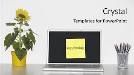  Presentation with notepaper - Slide set consisting of sunflower-plant-on-desk background and a white colored foreground