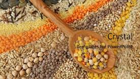  Presentation with grains - Colorful PPT layouts enhanced with sunflower rainbow - various seeds and grains close backdrop and a gold colored foreground