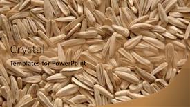  Presentation with sunflower - Presentation design with sunflower-seeds-arranged-as-background background and a coral colored foreground