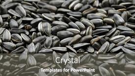  Presentation with sunflower sunflower sunflower sunflower sunflower - Amazing presentation having sunflower-seeds-background-closeup backdrop and a gray colored foreground
