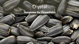  Presentation with seeds - Presentation design enhanced with sunflower-seeds-background-closeup background and a dark gray colored foreground