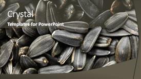  Presentation with sunflower sunflower sunflower sunflower sunflower - Amazing PPT theme having sunflower-seeds-background-closeup backdrop and a dark gray colored foreground