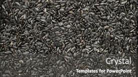  Presentation with sunflower - Slide deck having sunflower-seeds-background-closeup background and a dark gray colored foreground