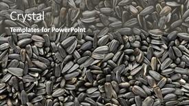  Presentation with sunflower sunflower sunflower sunflower sunflower - Amazing slide set having sunflower-seeds-background-closeup backdrop and a dark gray colored foreground