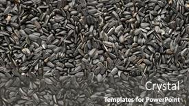  Presentation with seeds - Audience pleasing PPT layouts consisting of sunflower-seeds-background-closeup backdrop and a dark gray colored foreground