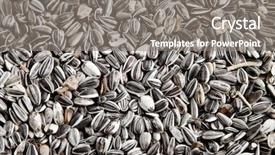  Presentation with sunflower - Audience pleasing PPT theme consisting of sunflower seeds background backdrop and a gray colored foreground