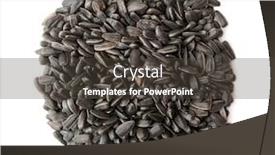  Presentation with sunflower sunflower sunflower sunflower sunflower - Presentation design having sunflower-seeds-black-seeds background and a dark gray colored foreground