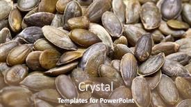  Presentation with sunflower sunflower sunflower sunflower sunflower - Theme having sunflower-seeds-in-a-box background and a violet colored foreground