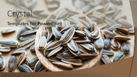  Presentation with sunflower sunflower sunflower sunflower sunflower - Theme having sunflower seeds in a wooden background and a light gray colored foreground
