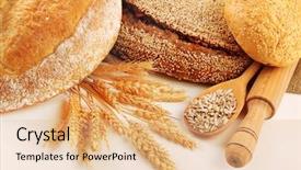  Presentation with spoon - Slide deck having sunflower seeds isolated on white background and a coral colored foreground