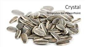  Presentation with crop - Slides enhanced with sunflower seeds isolated on white background and a white colored foreground