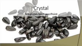  Presentation with sunflower sunflower sunflower sunflower sunflower - Beautiful PPT layouts featuring sunflower seeds isolated on white background close up backdrop and a white colored foreground