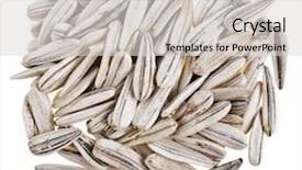  Presentation with sunflower - Slides having sunflower seeds isolated on white background and a light gray colored foreground
