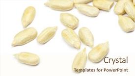  Presentation with sunflower sunflower sunflower sunflower sunflower - Amazing slides having sunflower seeds isolated on white backdrop and a cream colored foreground