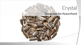  Presentation with sunflower - PPT layouts with sunflower-seeds-on-white-background background and a  colored foreground