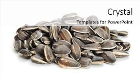  Presentation with sunflower - Audience pleasing slide deck consisting of sunflower seeds on white background backdrop and a white colored foreground