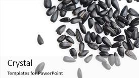  Presentation with sunflower - PPT theme having sunflower seeds background and a white colored foreground