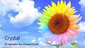  Presentation with sky rainbow - Slide deck enhanced with sunflower with petals painted background and a light blue colored foreground
