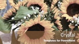  Presentation with sunflower sunflower sunflower sunflower sunflower - PPT theme featuring sunflowers-growing-in-a-field background and a coral colored foreground