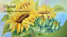 Presentation with sunflowers - Theme enhanced with sunflowers oil painting on canvas background and a yellow colored foreground