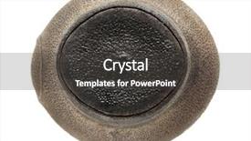  Presentation with invertebrate silverfish insect lepisma saccharina - Presentation having sungay stick insect's egg background and a dark gray colored foreground