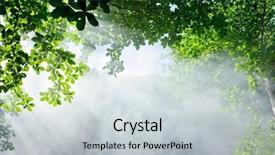  Presentation with forest morning - PPT layouts consisting of morning sunlight and smoke background and a light gray colored foreground