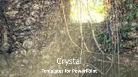  Presentation with ivy - Cool new presentation theme with sunlight bursts through the ivy-twisted window of the ruined building backdrop and a gray colored foreground