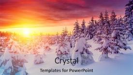  Presentation with solar tree evening landscape - PPT theme consisting of sunlight dramatic wintry scene natural background and a light blue colored foreground