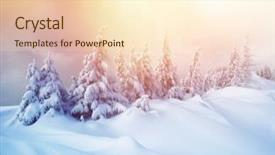  Presentation with happy new year - Amazing presentation having sunlight dramatic wintry scene backdrop and a lemonade colored foreground