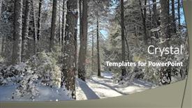 Presentation with pine forest - PPT theme consisting of sunlight-e-long-shadows background and a gray colored foreground