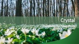  Presentation with snowdrop - PPT layouts having sunlight early spring time background and a ocean colored foreground