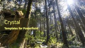  Presentation with flare - 