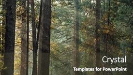  Presentation with forest morning - PPT theme with sunlight-in-a-ponderosa-pine background and a tawny brown colored foreground