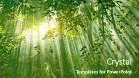  Presentation with enchanted - PPT theme consisting of sunlight in fresh misty forest background and a tawny brown colored foreground