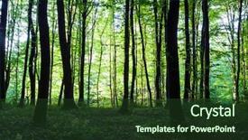  Presentation with sunlight - Cool new presentation with sunlight in the green forest backdrop and a tawny brown colored foreground