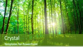  Presentation with sunlight - Slide deck enhanced with sunlight in the green forest background and a tawny brown colored foreground