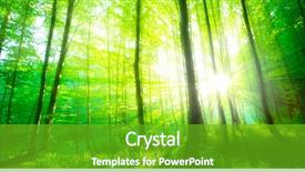  Presentation with sunlight - Audience pleasing theme consisting of sunlight in the green forest backdrop and a shamrock green colored foreground