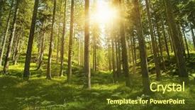  Presentation with sunlight - Audience pleasing PPT theme consisting of sunlight in the green forest backdrop and a tawny brown colored foreground