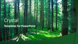  Presentation with sunlight - Cool new presentation with sunlight-in-the-green-forest backdrop and a ocean colored foreground