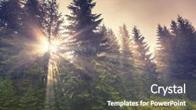  Presentation with green forest morning - Slide set consisting of sunlight in the green forest background and a tawny brown colored foreground