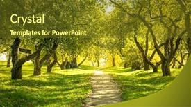  Presentation with woodland - Cool new slide deck with sunlight in the green forest backdrop and a tawny brown colored foreground