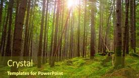  Presentation with sunlight - Slide set featuring sunlight-in-the-green-forest background and a tawny brown colored foreground