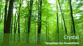  Presentation with sunlight - Amazing PPT layouts having sunlight in the green forest backdrop and a forest green colored foreground