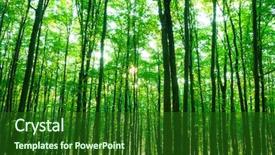  Presentation with sunlight - PPT theme consisting of sunlight in the green forest background and a forest green colored foreground