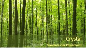 Presentation with mountains forests green forest - Amazing theme having sunlight in the green forest backdrop and a  colored foreground