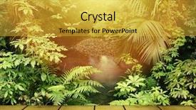  Presentation with tropical forest - Colorful presentation enhanced with sunlight in tropical jungle forest backdrop and a yellow colored foreground