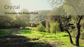  Presentation with path sunlight - Slides featuring sunlight-on-a-path background and a mint green colored foreground